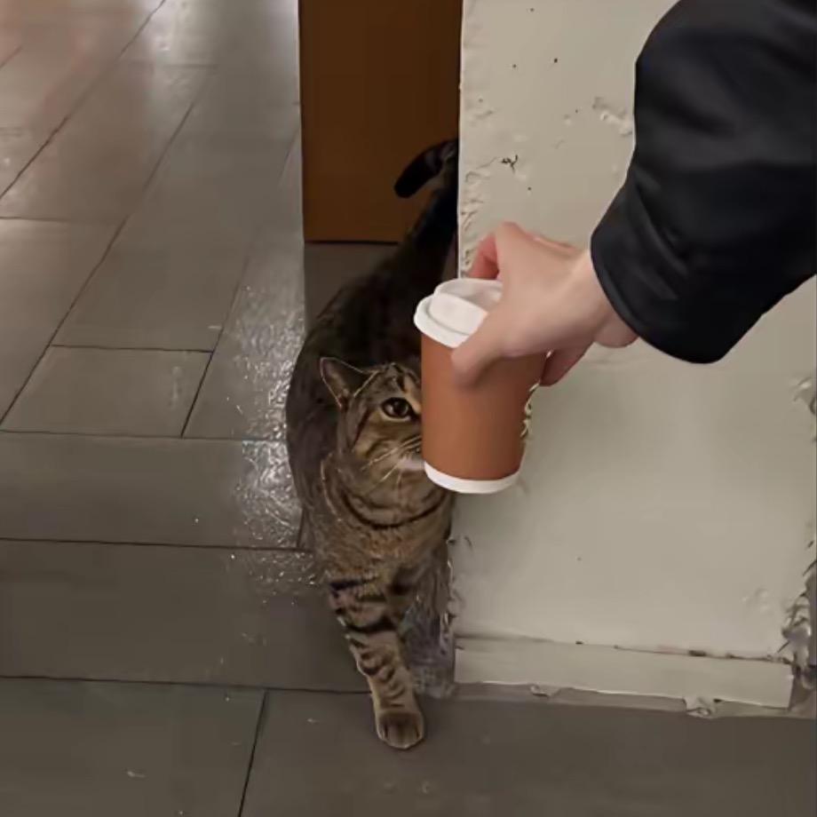 暮秋