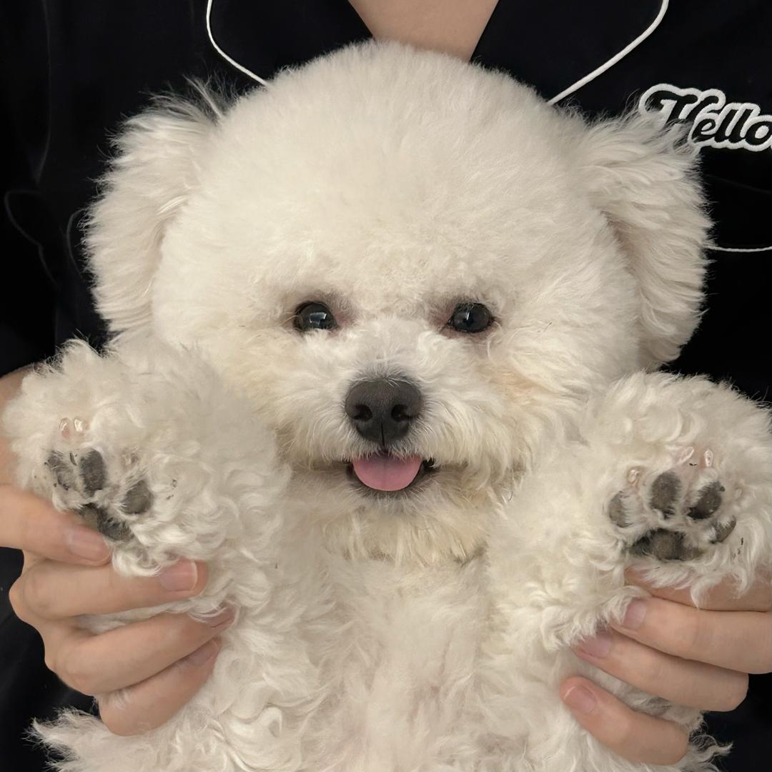 维尼宝藏小店