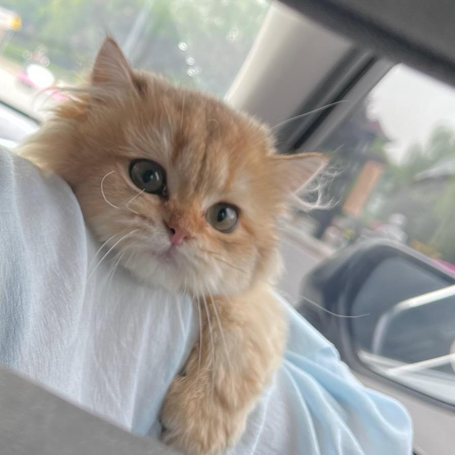 YUKI