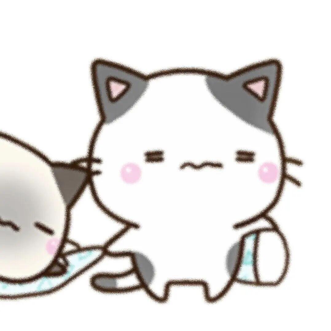 超级菲侠