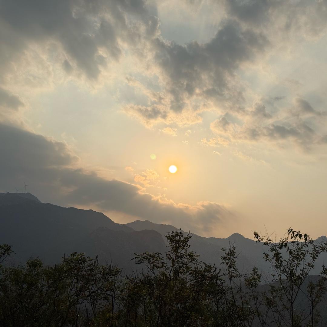 山河入酒