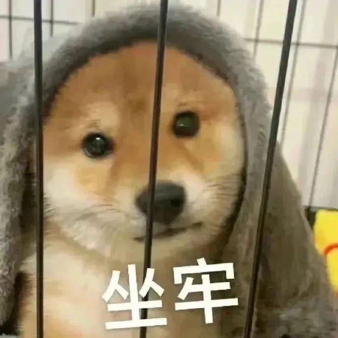想和紫皮大蒜做朋友