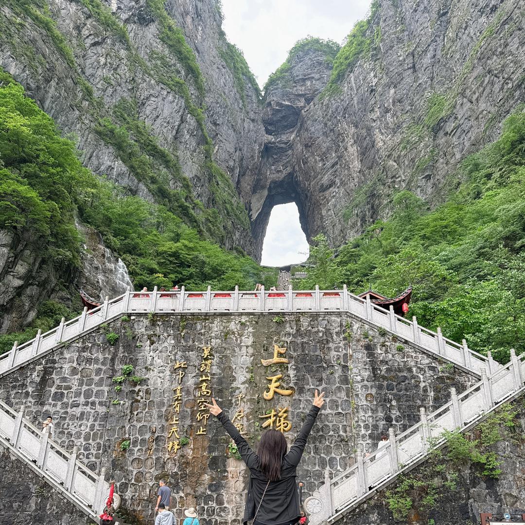 风中凌乱