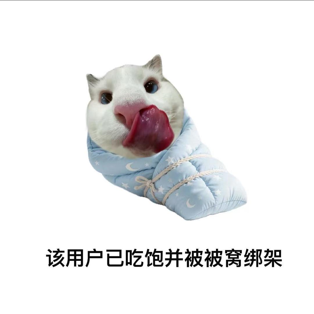 你是我的小猫
