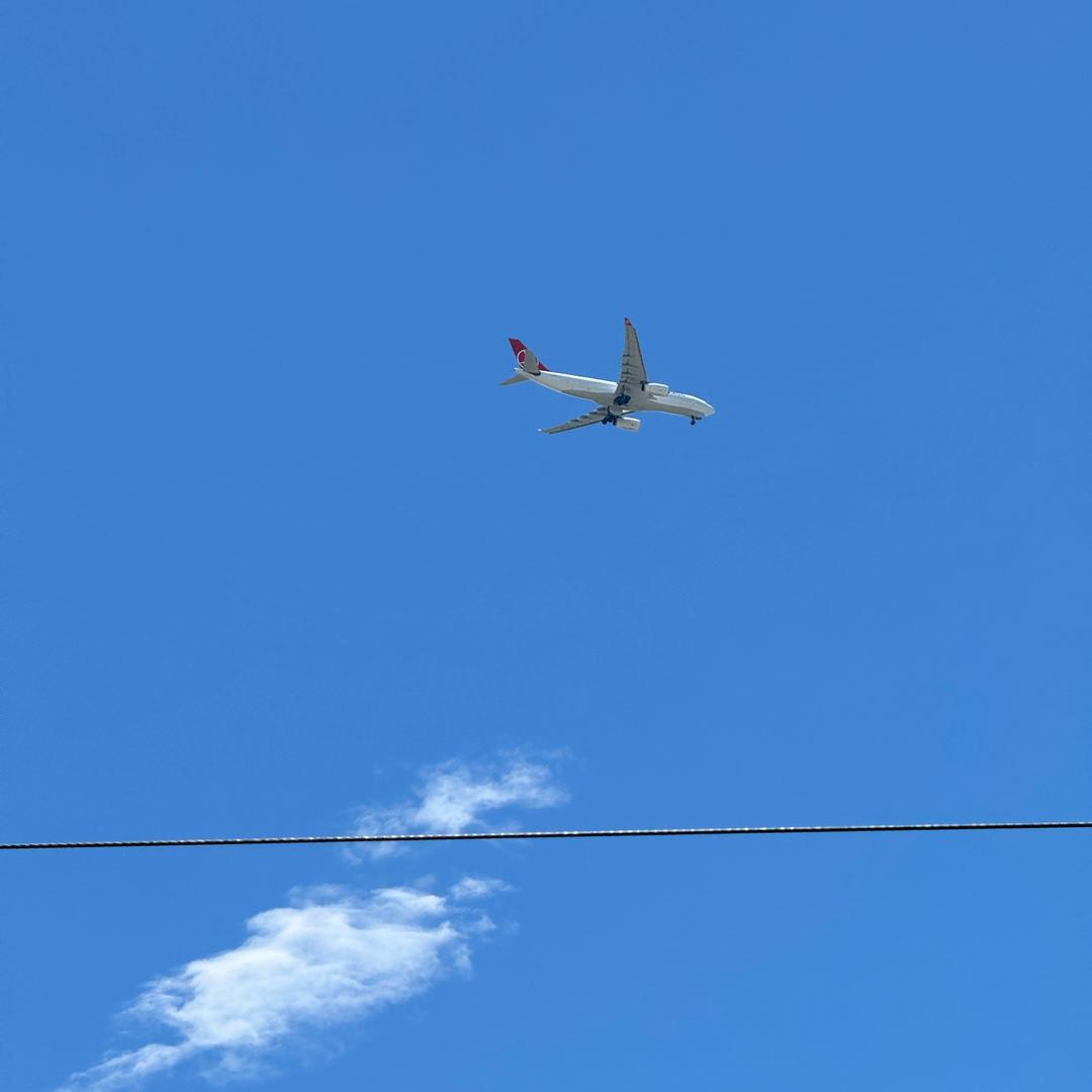 关你西红柿🍅啊