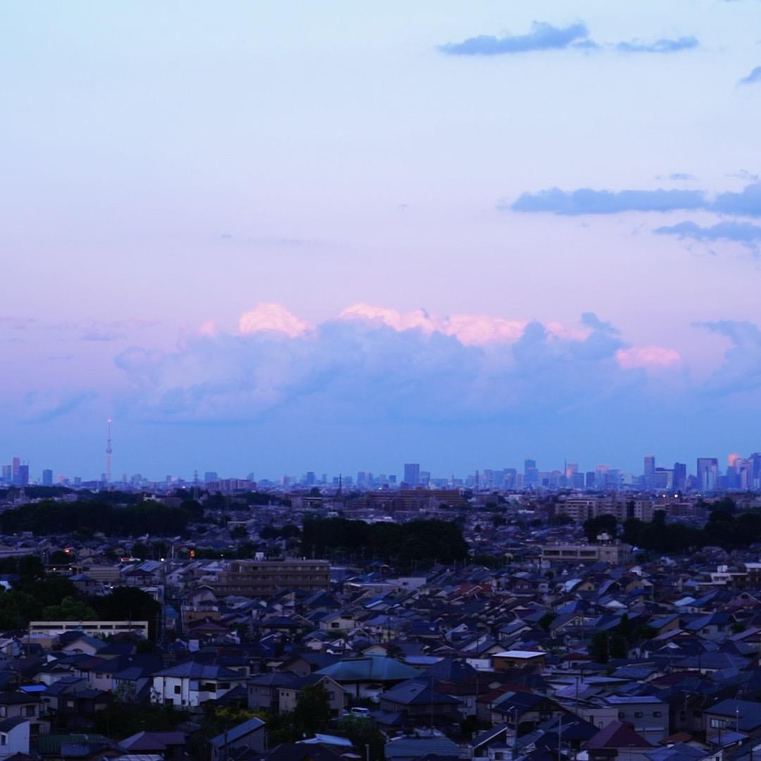 中年大叔闖世界