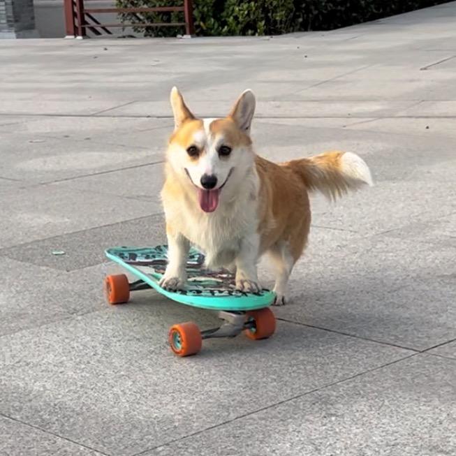 屁桃可乐