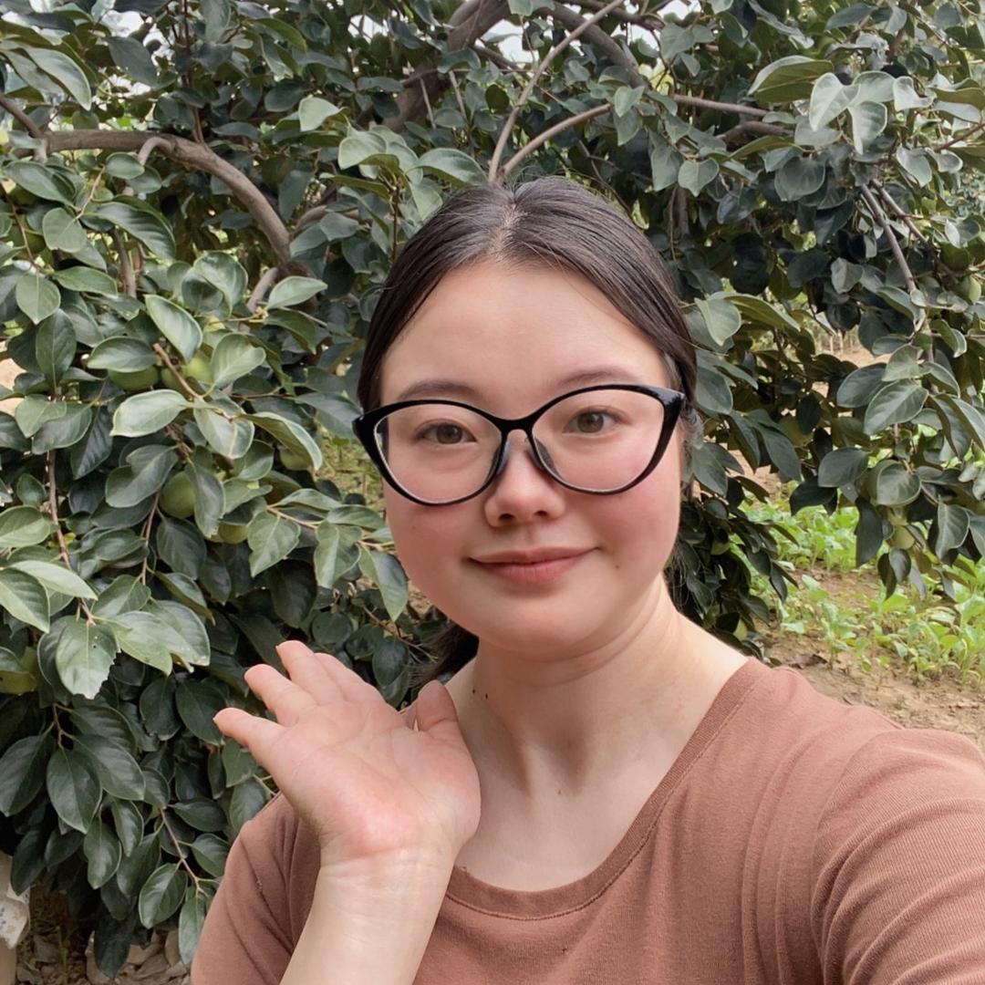 小李种西瓜