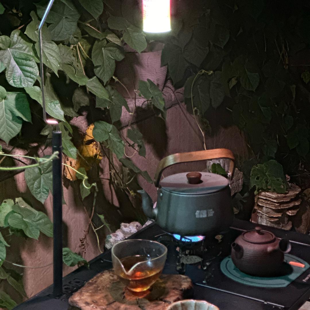 小镇柴火茶