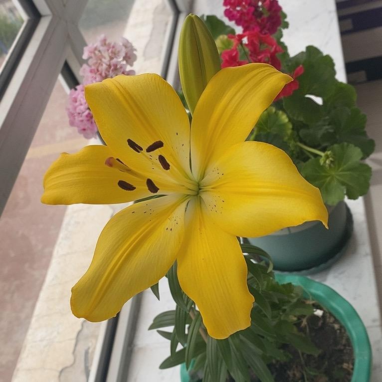 Ижань Одежда