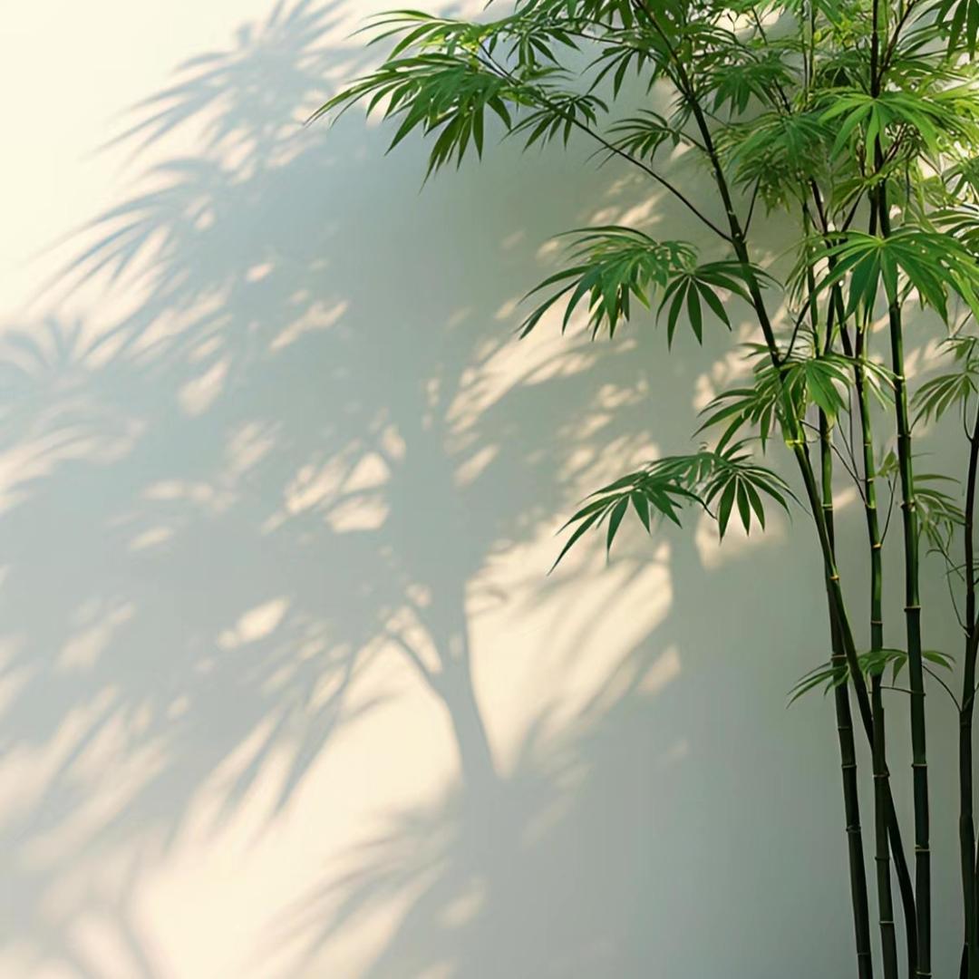 湖北省述彷教育咨询
