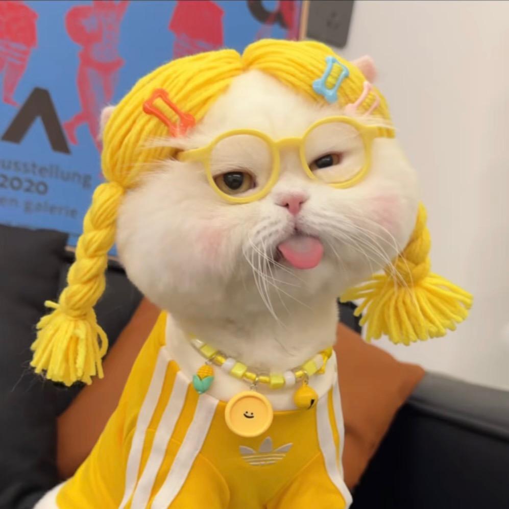 本宫长头发了