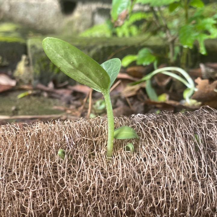 两袖清风🌈🔅🌸🔅 🌸🔅🌸