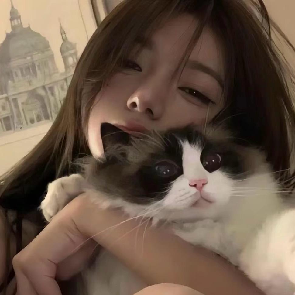 👑小懒猫