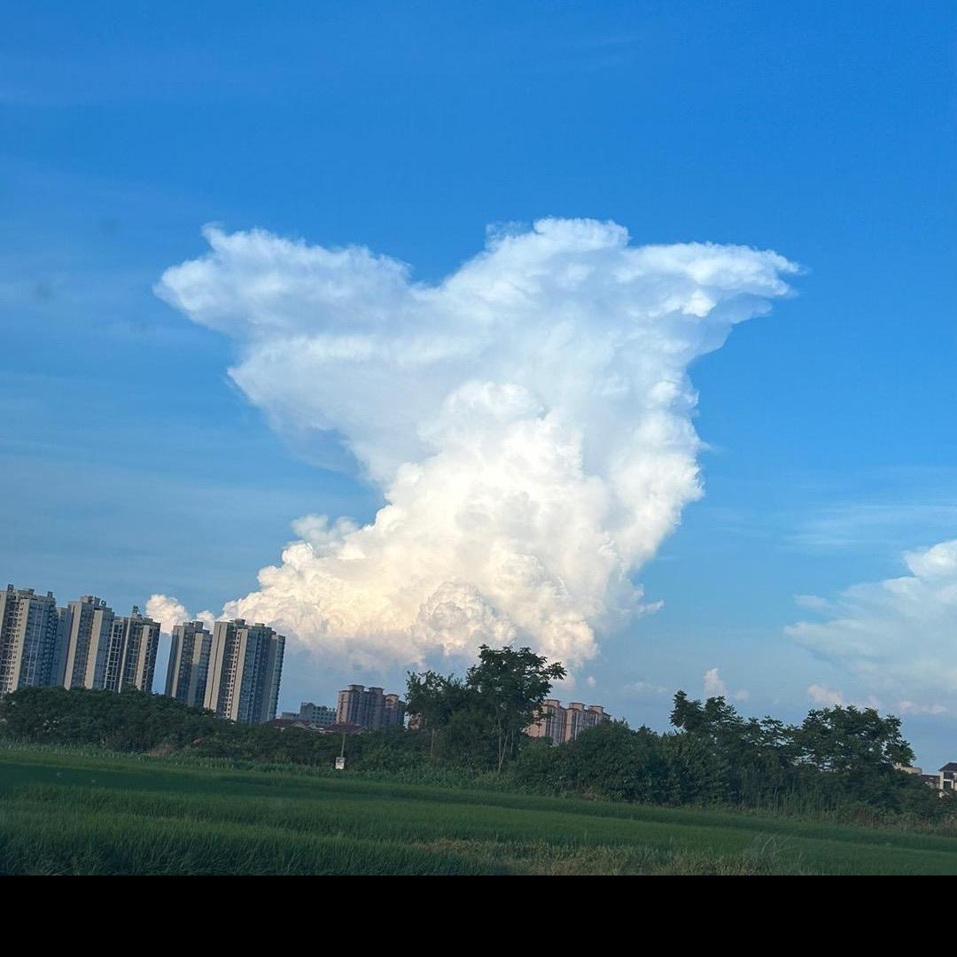琴琪書畵