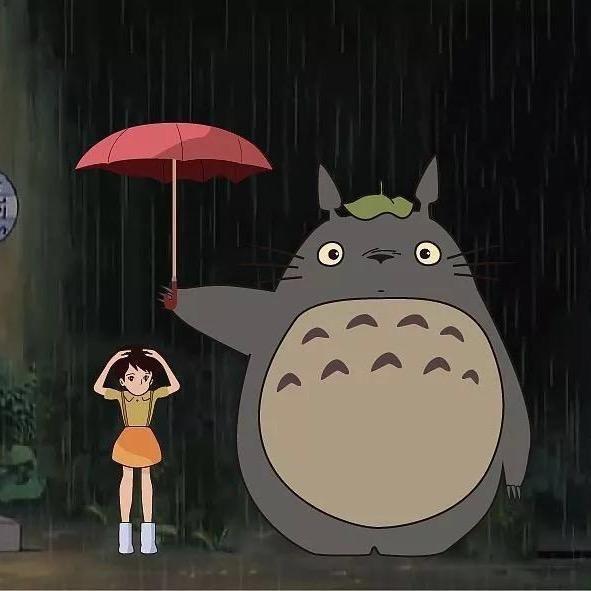 🍍坏笑的龙猫🍍