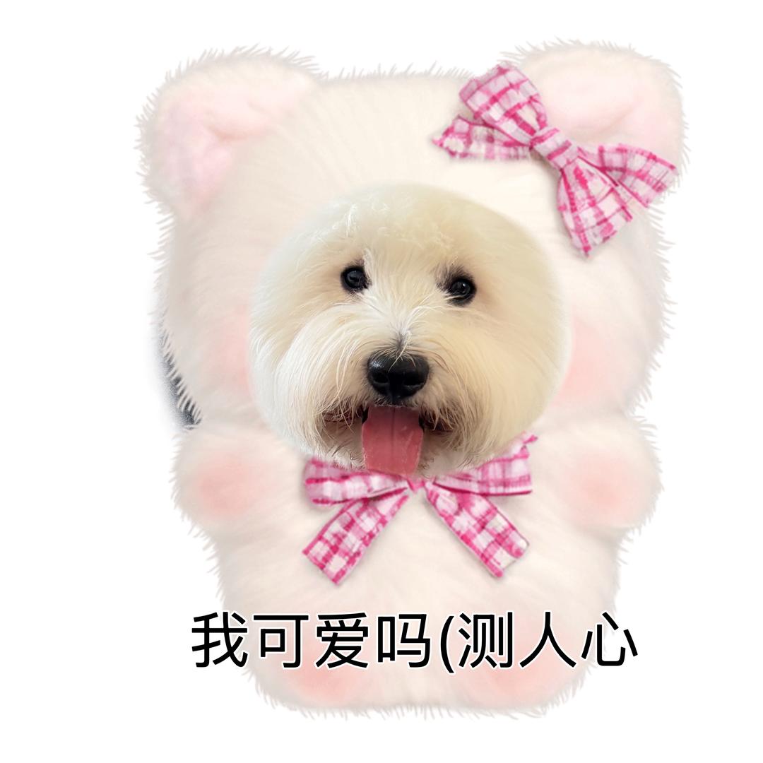 屁桃不甜