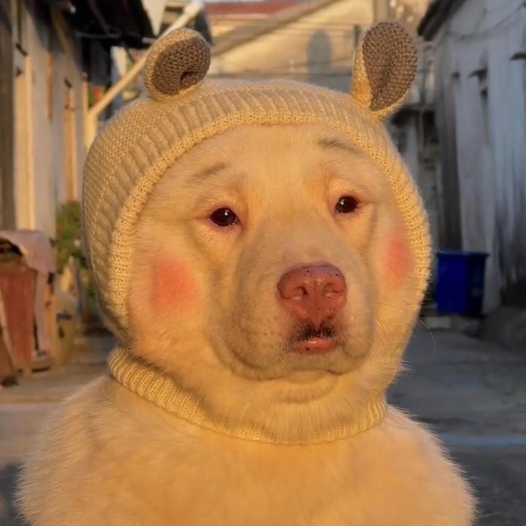 沉住气😤😤