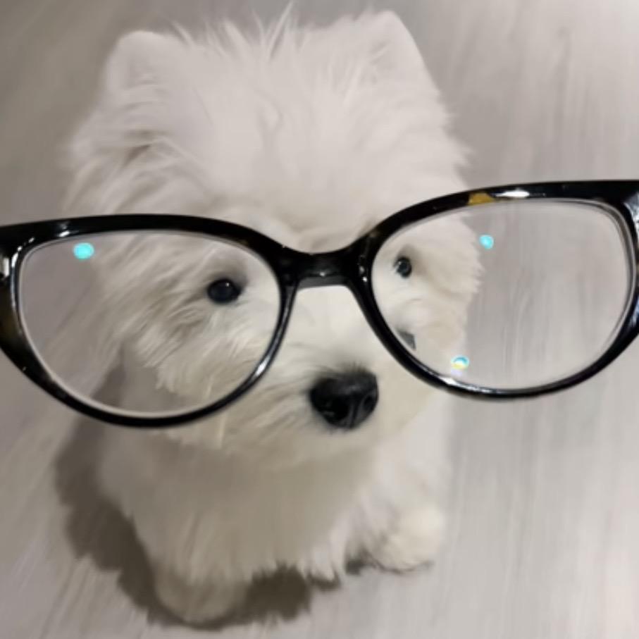您另请高明吧！