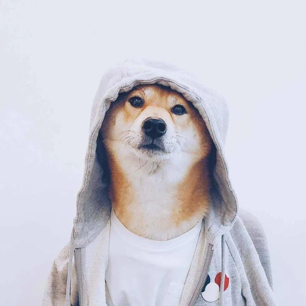 🇨🇳wanghhhhab🇨🇳