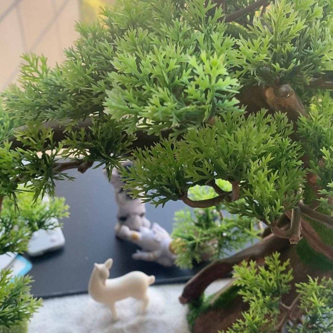 玄妙六师叔1