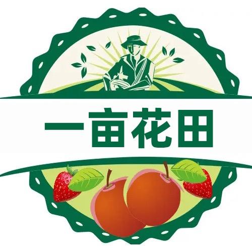 一亩花田企业店
