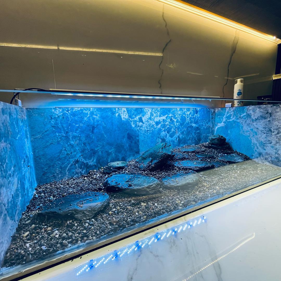 岩板缸开缸仪式