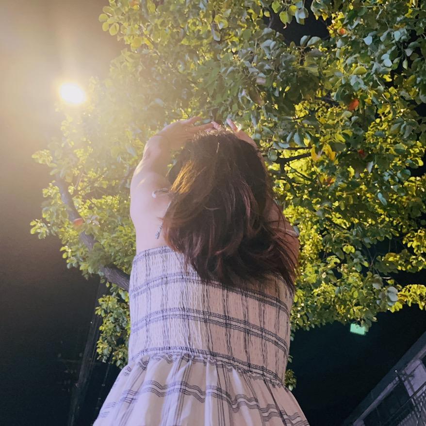 板桥森林果业