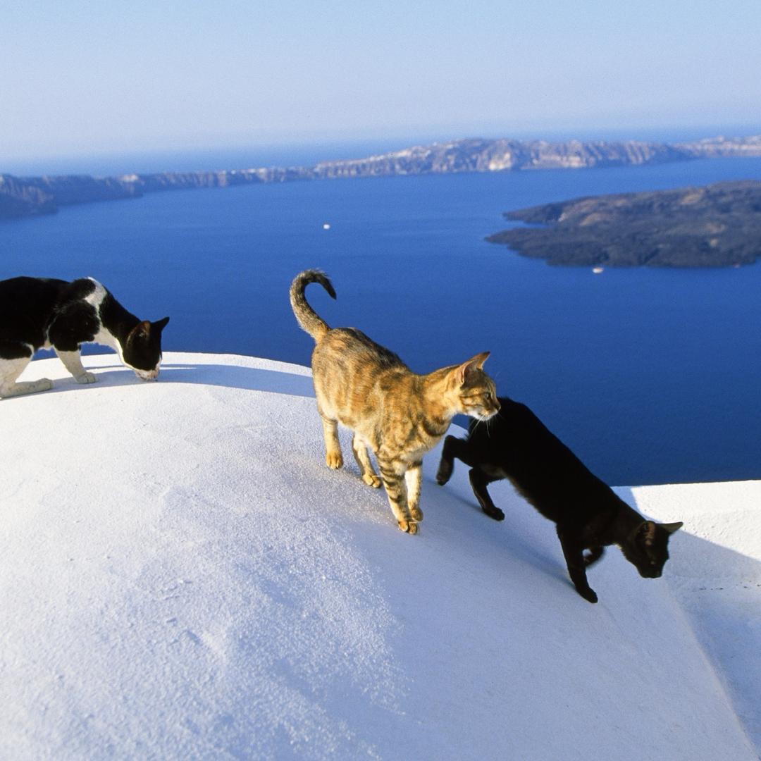 又是美好的一天