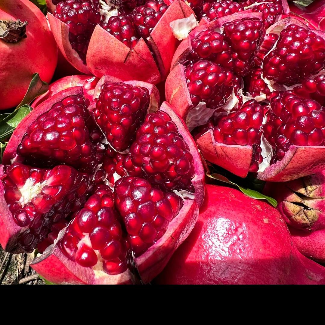 果篮子生鲜助农