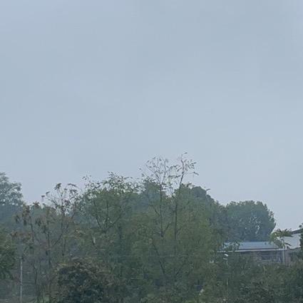 成都专业维修房屋漏水