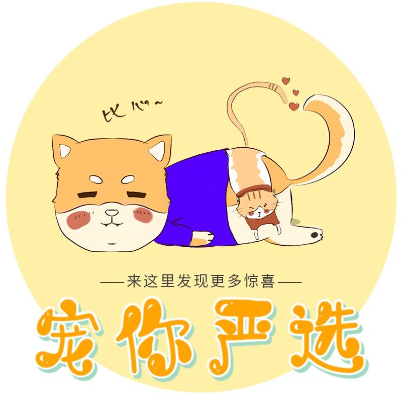 宠你严选