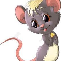 流浪汪的避风港