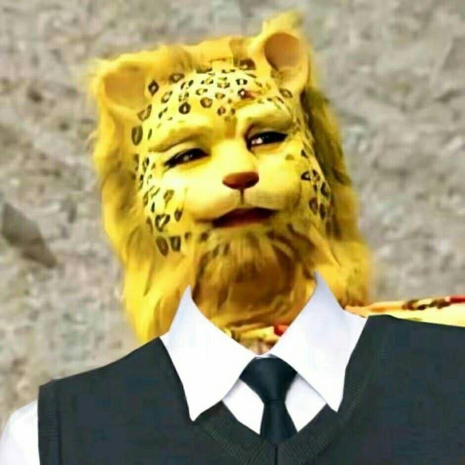 广西醇基燃料先锋-大增