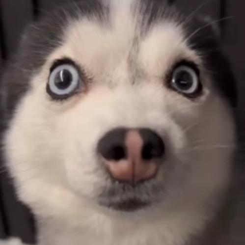 老什么王（老王）