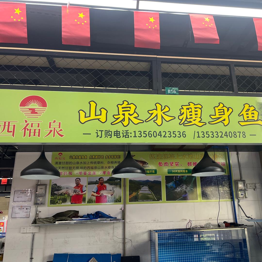 西福泉9233