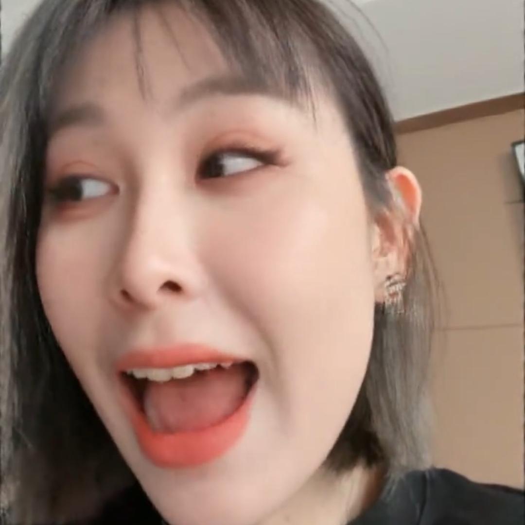哈密瓜的哈