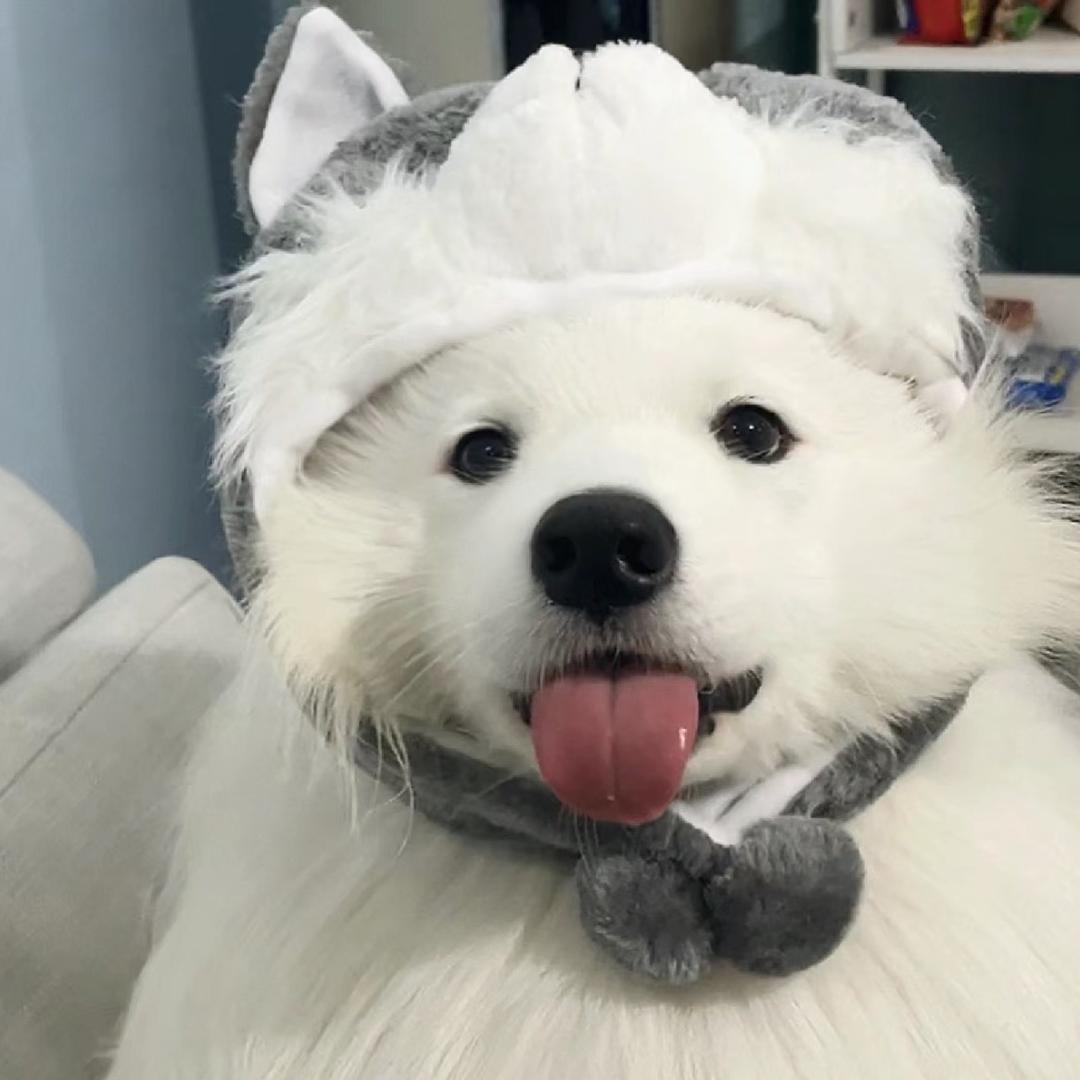 小Jay.