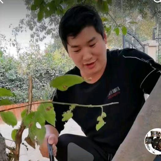 河南忠鼓乐器66
