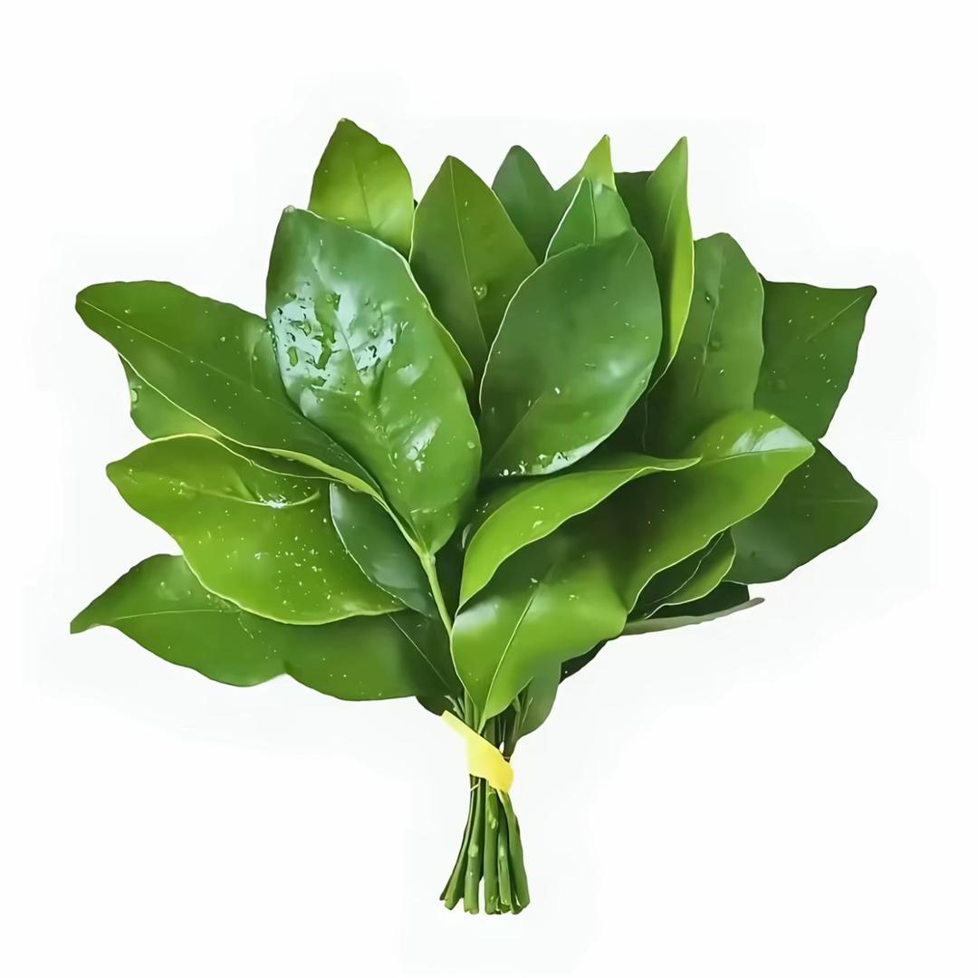 论文通过就改名