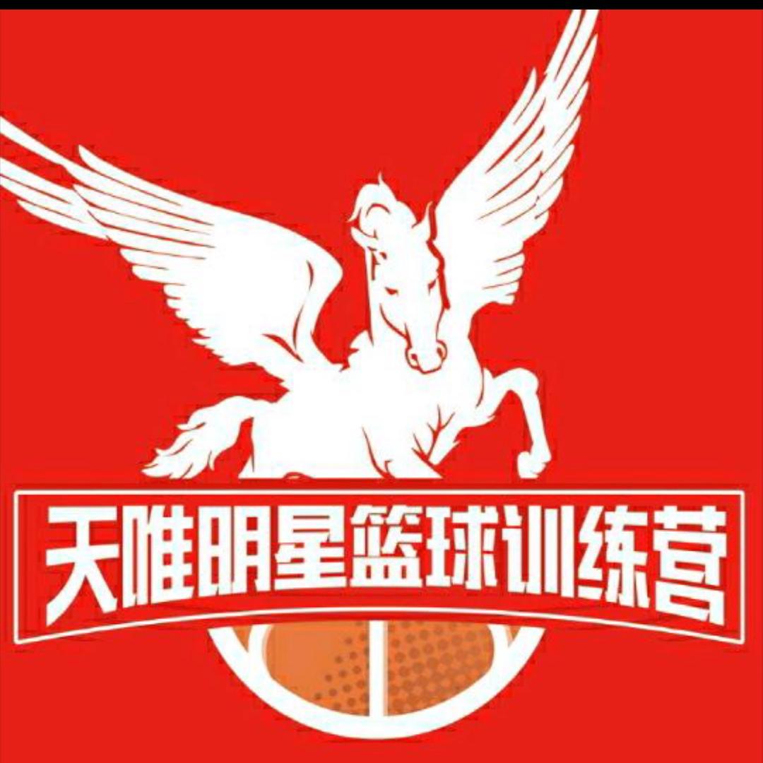 天唯明星篮球训练营单教练