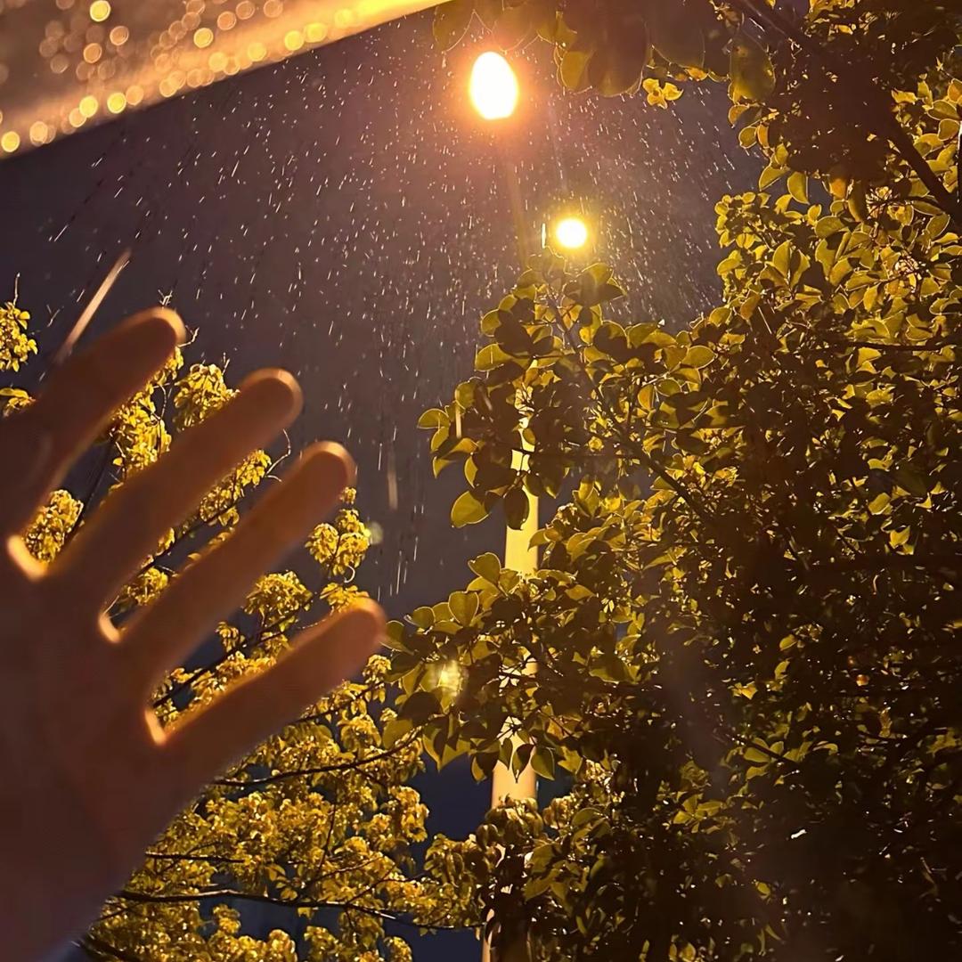 笑笑爸