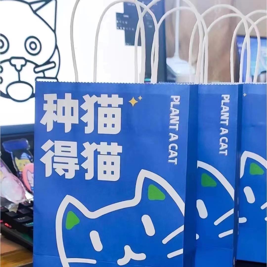 牛皮纸袋 小白
