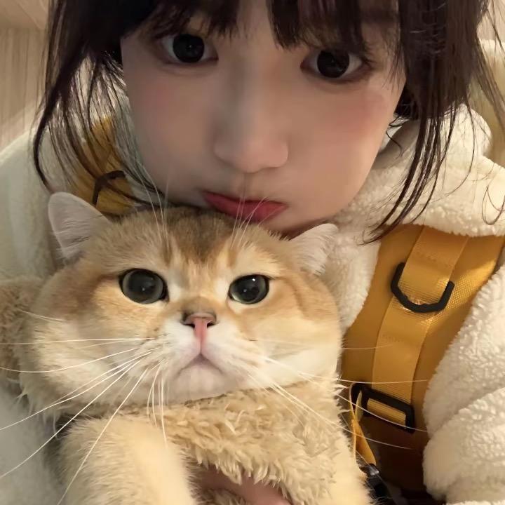 必无媛.