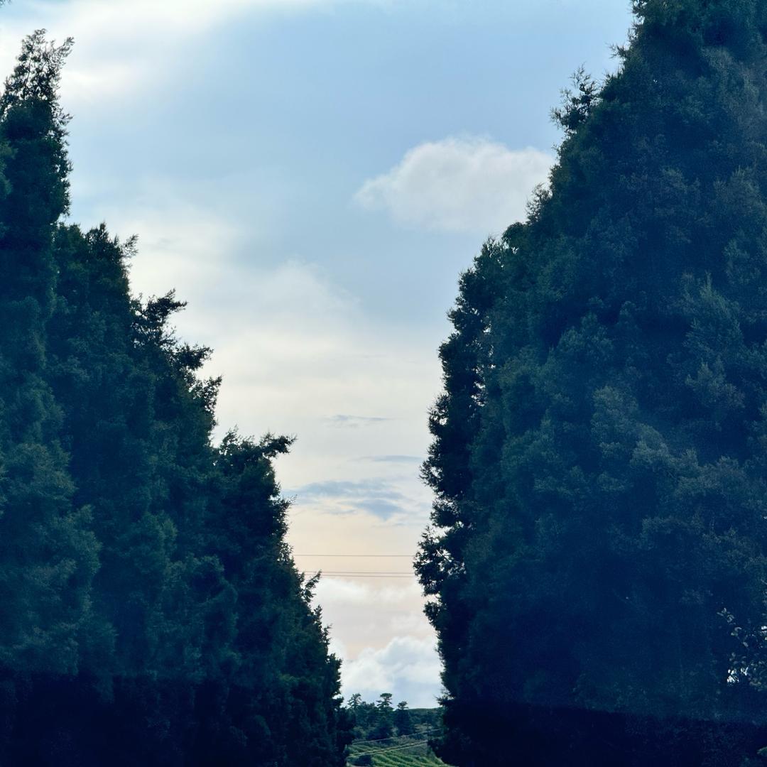 泸西梵蒂安别墅大门