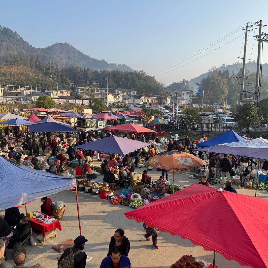 山货搬运工小解