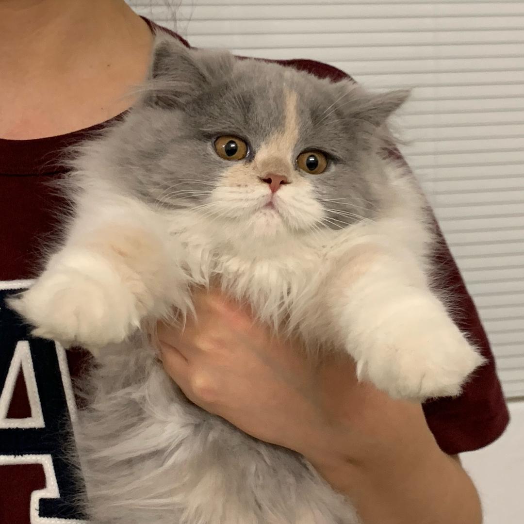 三夸子