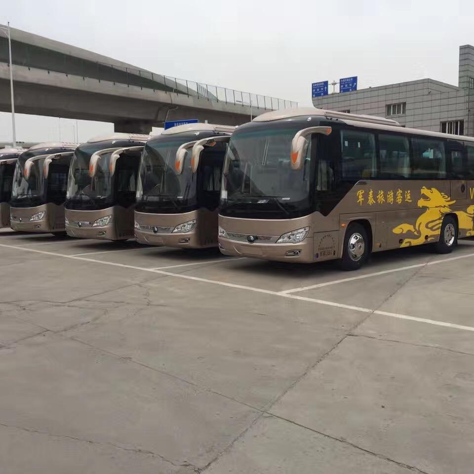 哈尔滨第一男神讲旅游车