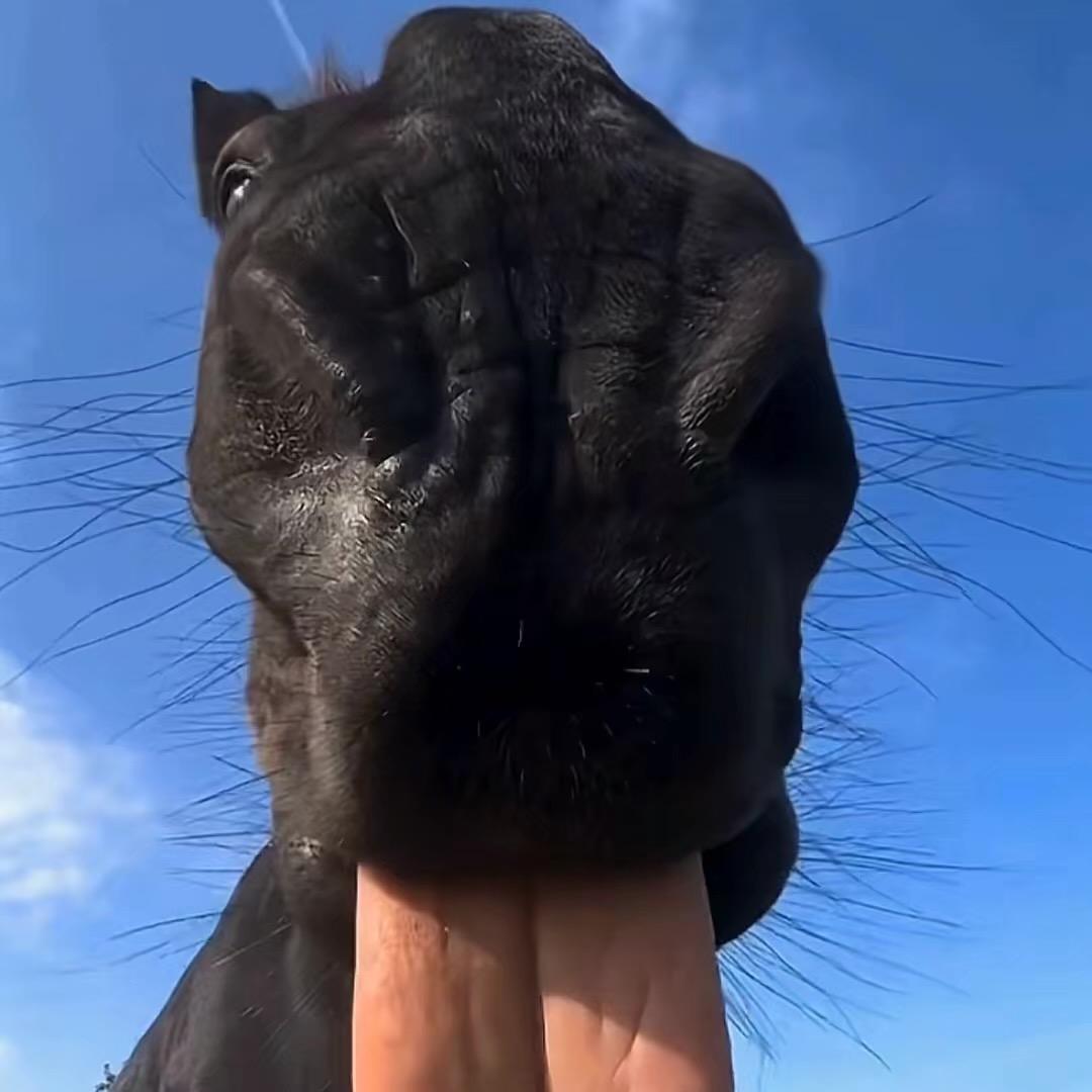 阿权
