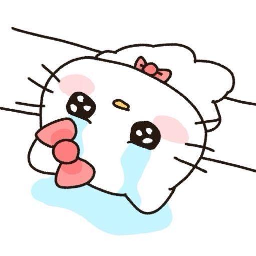 小猪猪🐷